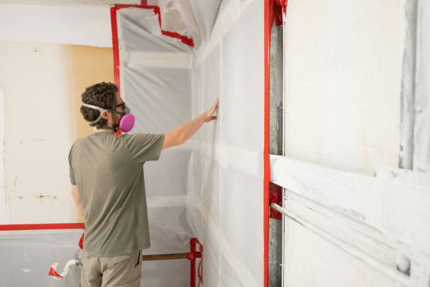 Best Post-Remediation Verification Testing  in St Paul, MN