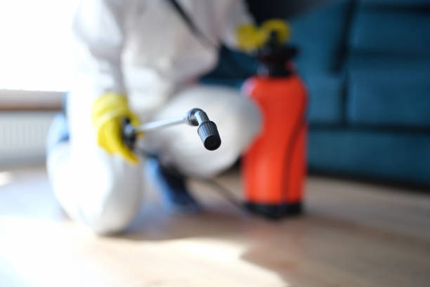 Best Mold Remediation for Healthcare Facilities  in St Paul, MN