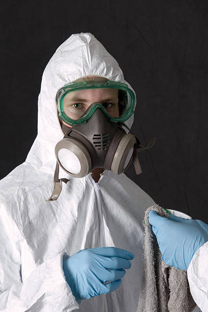 Best Water Damage & Mold Remediation  in St Paul, MN